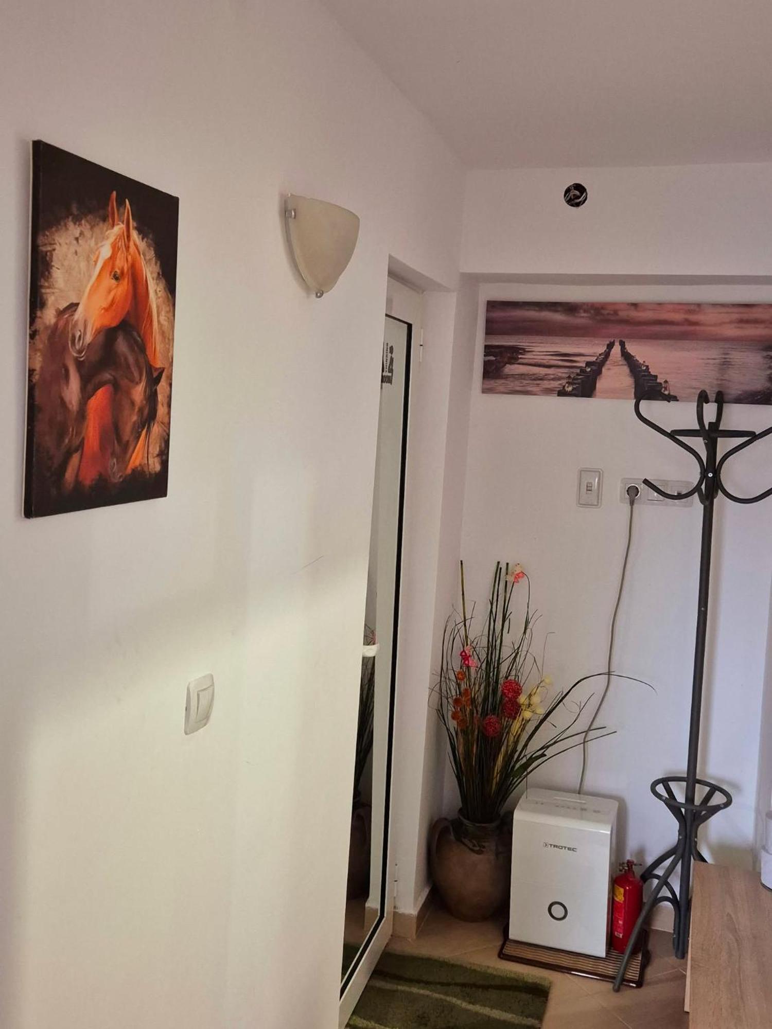 Apartment Shesti Uchastak Gabrovo Exterior photo